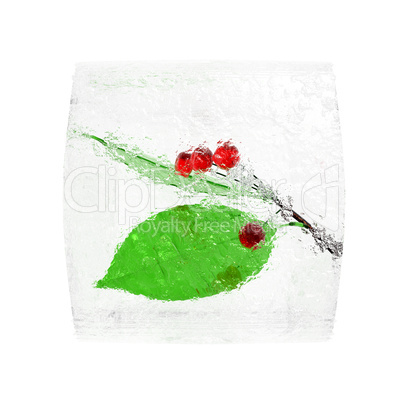 cranberry in ice cube isolated on white