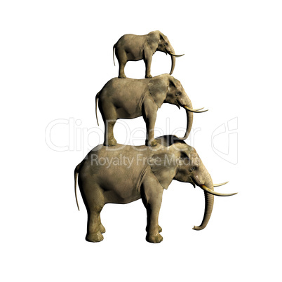 3d elephant isolated on white