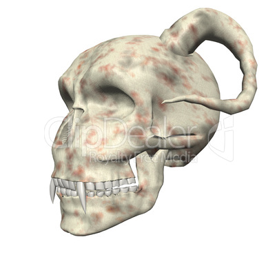 3D big realistic skull isolated on white