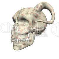 3D big realistic skull isolated on white