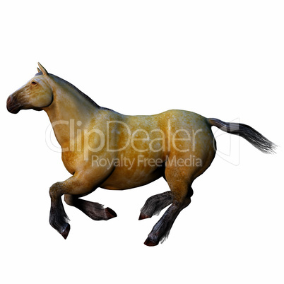 3D beautiful horse