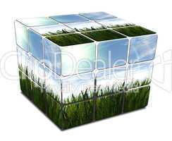 3D cube with green grass and blue sky on white