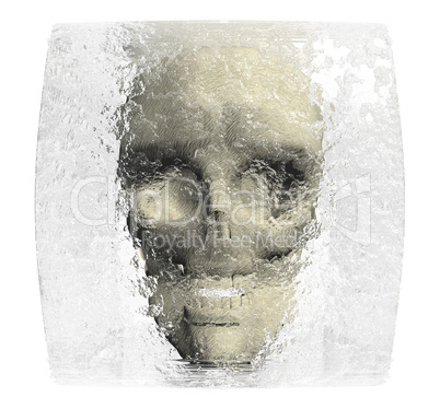 skull in ice cube isolated on white