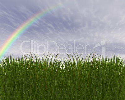 3D green grass and blue sky