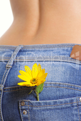 Yellow flower in a pocket female jeans