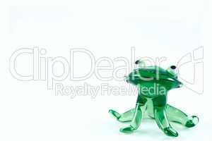 Green glass frog