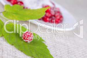 Cowberry sprinkled with sugar on green sheet