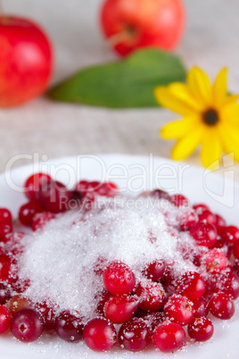 Cowberry in sugar on a white dish