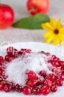 Cowberry in sugar on a white dish