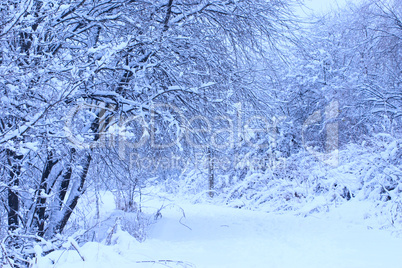 Snow-covered road to winter park