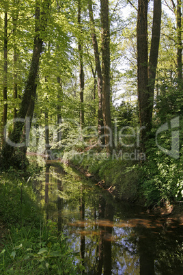 Kleiner Fluss im Osnabrücker Land