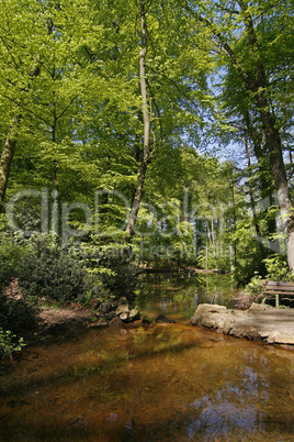 Teichlandschaft in GMHütte