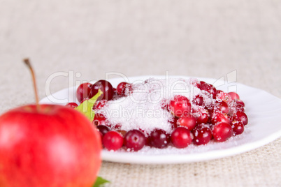 Plate of a cowberry sprinkled with sugar