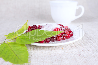 Cowberry in sugar against a mug