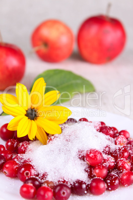 Cowberry in sugar on a white dish with flower