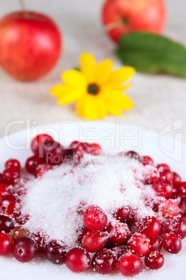 Cowberry in sugar on white dish against apples and flower