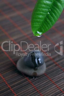 SPA stone and green leaf with water drop