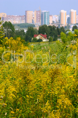 Rural against the industrial