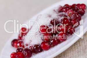 Cowberry in sugar on a plate