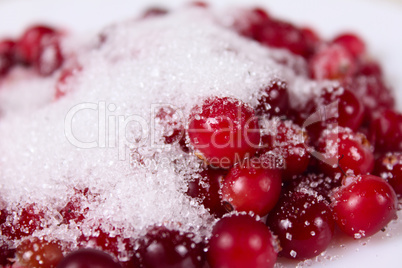 Cowberry sprinkled with sugar