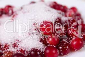 Cowberry sprinkled with sugar