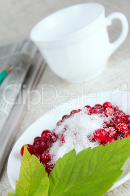 Cowberry in sugar against a mug with newspapper