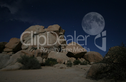 Abend im Joshua Tree Nationalpark