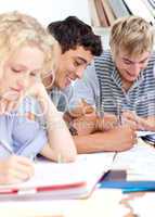 Teenagers studying in the library