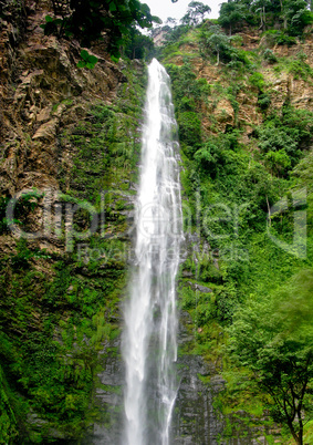 Wli Waterfall in Agumatsa Park in Ghana