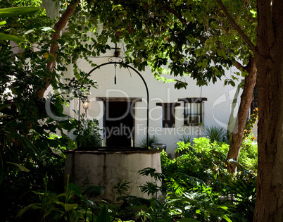 Shady garden in old Mexican house