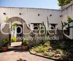 Shady garden in old Mexican house