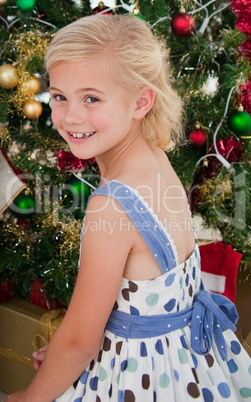Portrait of a little girl at Christmas time
