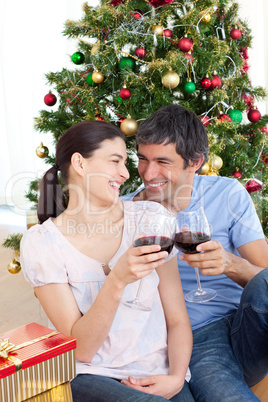 Lovers drinking wine at homa at Christmas time