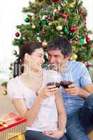 Lovers drinking wine at homa at Christmas time