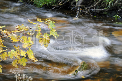 Kalte Bode im Herbst