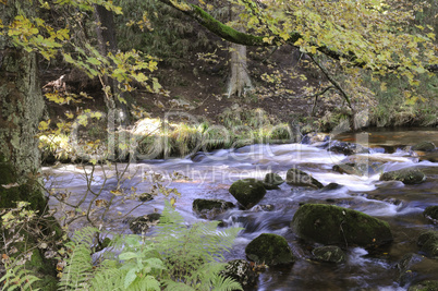 Kalte Bode im Herbst