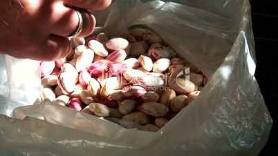 Shelling borlotti beans 2