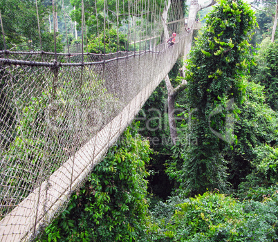 Aerial walkway at Kakum in Ghana