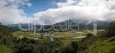 Panorama of Hanalei Valley on Kauai