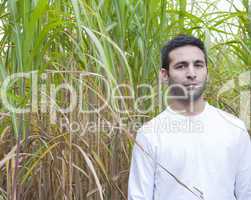 Man standing in a crop of bamboo.