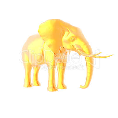 3d elephant isolated on white background