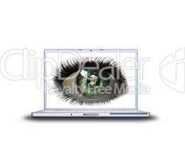 3D girl eye on laptop screen isolated on a white