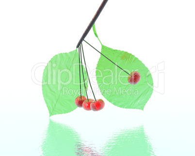 3D rubin bright glass cherry isolated on a white