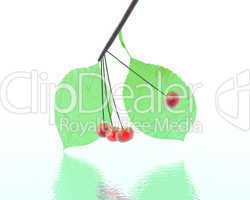 3D rubin bright glass cherry isolated on a white
