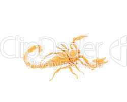 3D bright scorpion isolted on a white