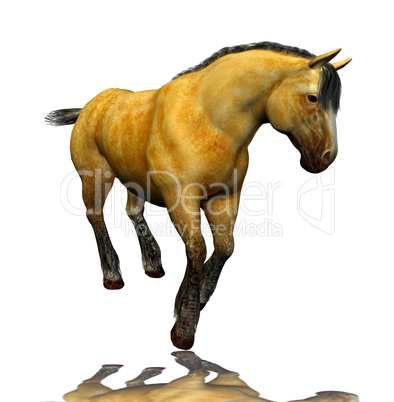 3D beautiful horse