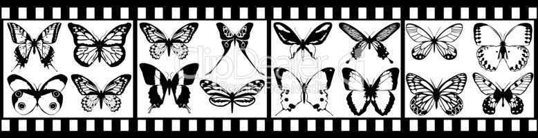 film with black butterfly isolated on white
