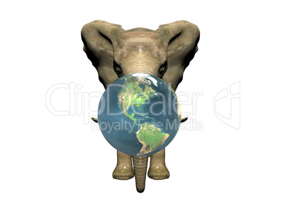 elephant and earth isolated on white