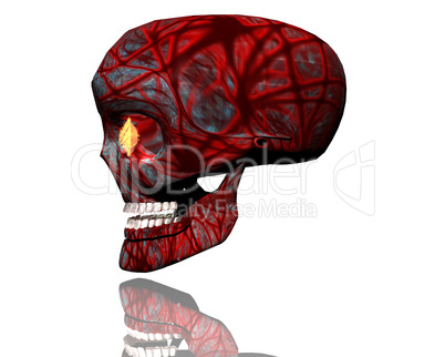 3D big realistic skull