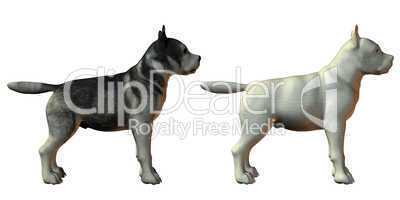 malamute dog 3d model